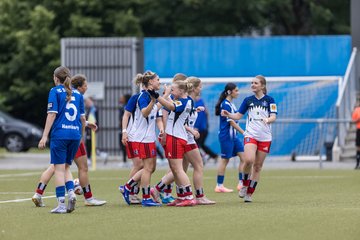 Bild 273 - wBJ Hamburger SV - FC Suederelbe : Ergebnis: 9:0
